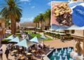 Famed NY cookie Levain Bakery opening first Orange County store