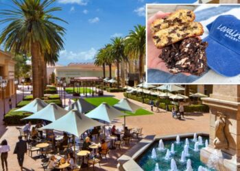 Famed NY cookie Levain Bakery opening first Orange County store