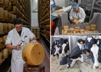 Italy’s cheese vaults struggle amid country’s heat waves
