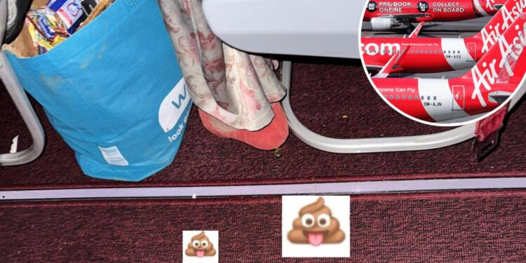 Passenger defecates on airplane seat