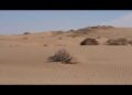 The secrets of the desert: Exploring Uzbekistan’s ancient landscapes and living traditions