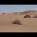 The secrets of the desert: Exploring Uzbekistan’s ancient landscapes and living traditions