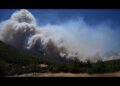 Wildfires in Europe: blazes continue to spread in France and Greece