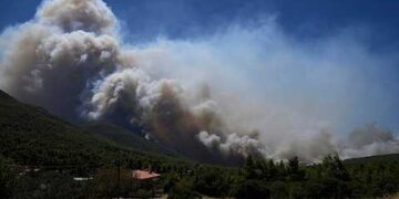 Wildfires in Europe: blazes continue to spread in France and Greece