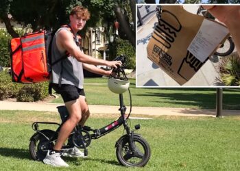 Driver reveals how much he made delivering DoorDash in Beverly Hills