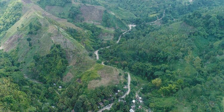 DHI seeks P30-billion capital hike for Tampakan-linked merger