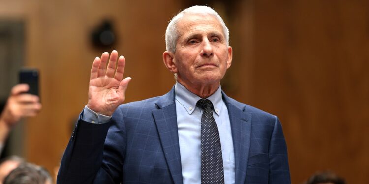 Fauci said ‘no red flags’ after privately raising vaccine miscarriage concern Fauci said ‘no red flags’ after privately raising vaccine miscarriage concern
