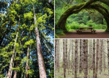 Tucked-away California park ranked among the best-kept secrets in US