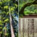 Tucked-away California park ranked among the best-kept secrets in US Tucked-away California park ranked among the best-kept secrets in US