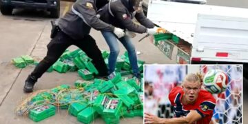 Cocaine shipment plastered with stickers of Norway soccer star Erling Haaland sezied in Ecuador