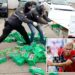 Cocaine shipment plastered with stickers of Norway soccer star Erling Haaland sezied in Ecuador