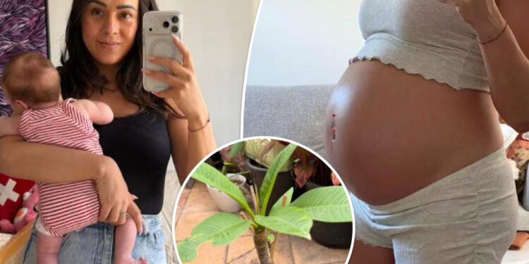 Mom buries placenta, waters it with breast milk as part of a traditional Balinese ritual