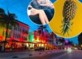 Southern states top list of best places for swinging in the US