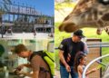 LA Zoo admission prices set to rise again with new hike