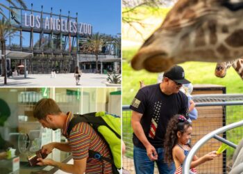 LA Zoo admission prices set to rise again with new hike