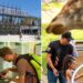 LA Zoo admission prices set to rise again with new hike
