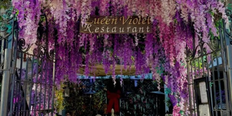 West Hollywood restaurant and influencer hotspot Queen Violet closes