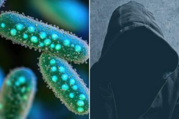 Study links psychopathy to bacteria