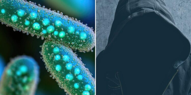 Study links psychopathy to bacteria Study links psychopathy to bacteria