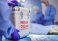 HHS decertifies Network for Hope over organ harvesting safety failures HHS decertifies Network for Hope over organ harvesting safety failures