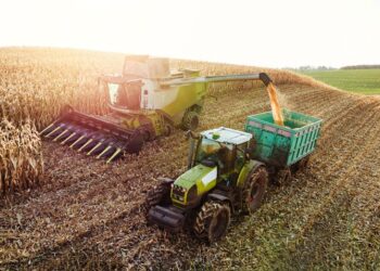 UK food prices to rise into 2027 as drought hits crops
