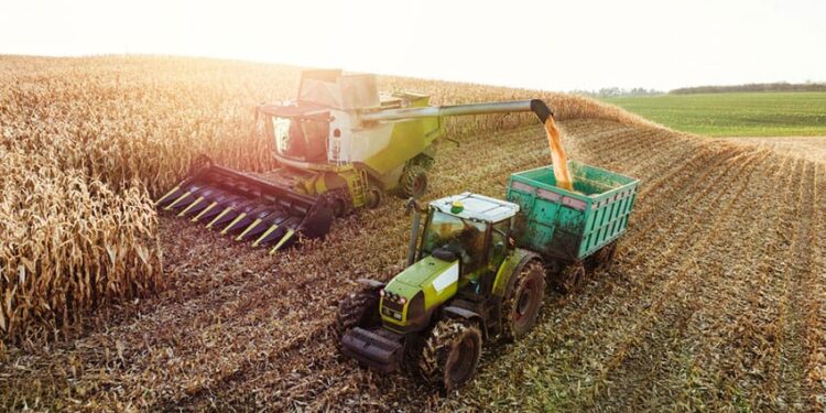 UK food prices to rise into 2027 as drought hits crops