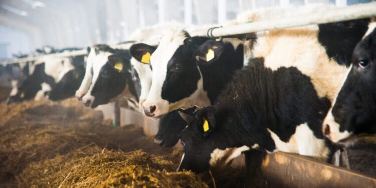 Farm skills shortage threatens UK food security, Arla warns