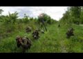 French volunteers train with Ukrainian military intelligence’s International Legion French volunteers train with Ukrainian military intelligence’s International Legion