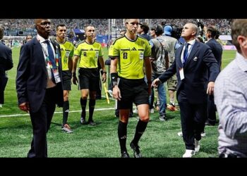 Fact check: False claims target French referee after Egypt World Cup exit