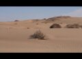 The secrets of the desert: Exploring Uzbekistan’s ancient landscapes and living traditions