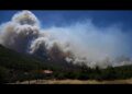 Wildfires in Europe: blazes continue to spread in France and Greece