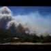 Wildfires in Europe: blazes continue to spread in France and Greece