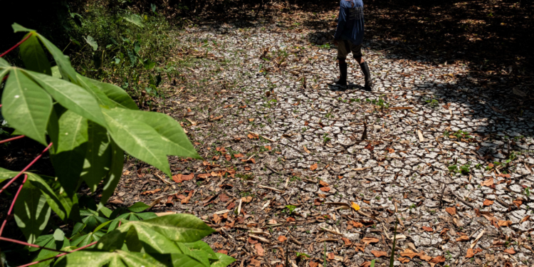 ‘Super El Niño’ raises risks for PHL
