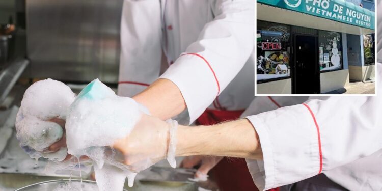Laid-off Bay Area tech workers apply for -an-hour dishwasher job