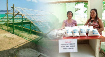 DA-BFAR boosts women’s livelihoods in Daram through solar salt production