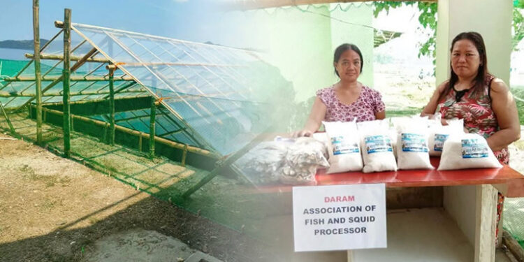 DA-BFAR boosts women’s livelihoods in Daram through solar salt production DA-BFAR boosts women’s livelihoods in Daram through solar salt production