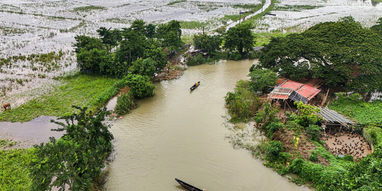 Forging a resilient Philippine economy in the age of shocks