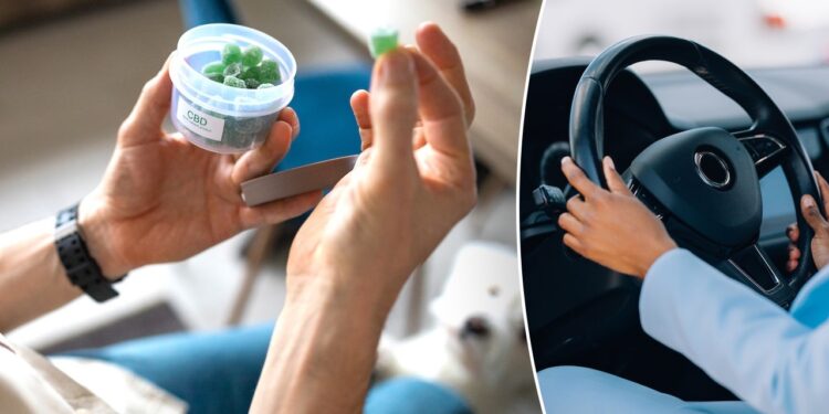 Cannabis edibles impair driving even when THC blood tests are low Cannabis edibles impair driving even when THC blood tests are low