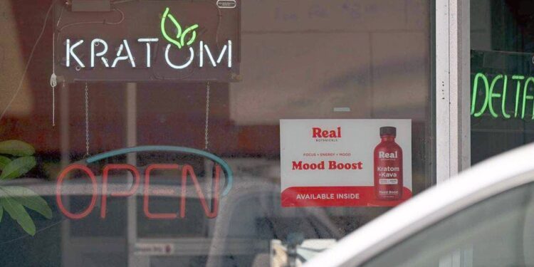 Expert warns of kratom’s serious risks after college students found dead on campus Expert warns of kratom’s serious risks after college students found dead on campus