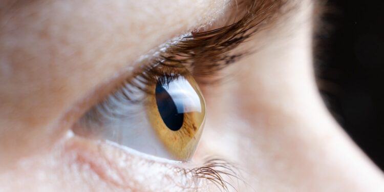 Ozempic and Wegovy patients sue over alleged NAION vision loss risk Ozempic and Wegovy patients sue over alleged NAION vision loss risk