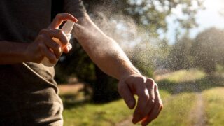 Dengue spreads locally in southern state as mosquito-control officials race to contain virus