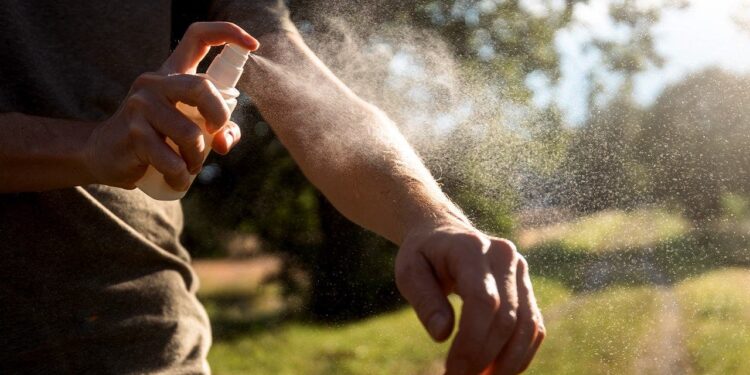 Dengue spreads locally in southern state as mosquito-control officials race to contain virus