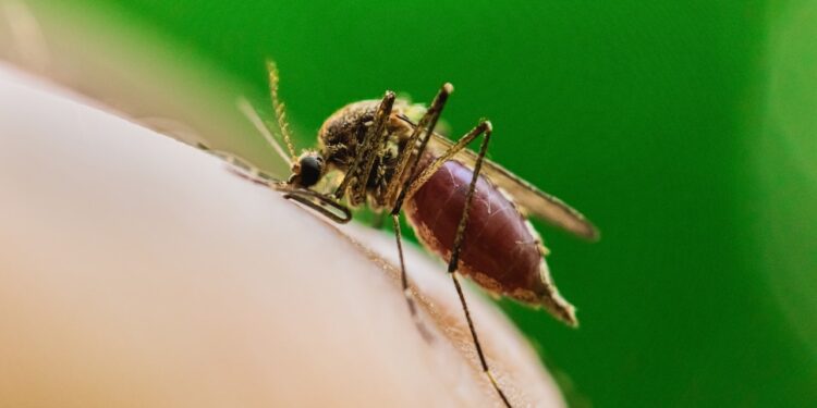 Major US city reports first West Nile virus death of the year in Illinois Major US city reports first West Nile virus death of the year in Illinois