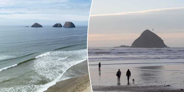 Popular West Coast beach deemed ‘unsafe’ due to fecal bacteria Popular West Coast beach deemed ‘unsafe’ due to fecal bacteria