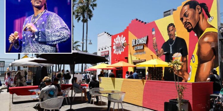 Snoop Dogg is hiring an ice cream taster — and it pays K a month