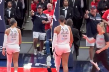 New angle emerges in wild A’ja Wilson confrontation with pointing Fever fan
