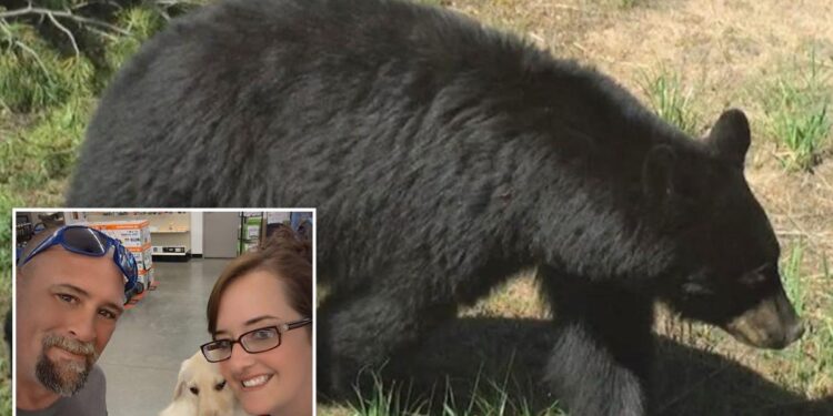 Bear injures 2 Idaho residents, gets euthanized