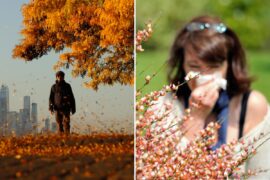 How to tell the difference between allergies vs a cold