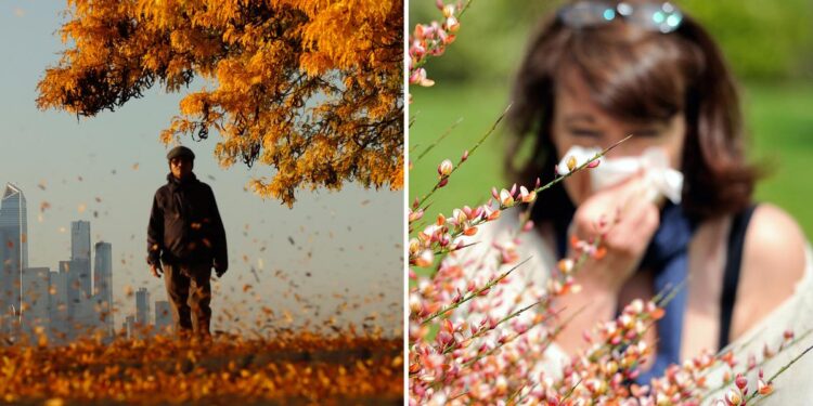 How to tell the difference between allergies vs a cold How to tell the difference between allergies vs a cold