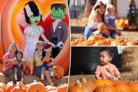 Mr. Bones pumpkin patch returns to popular LA city for Halloween Mr. Bones pumpkin patch returns to popular LA city for Halloween